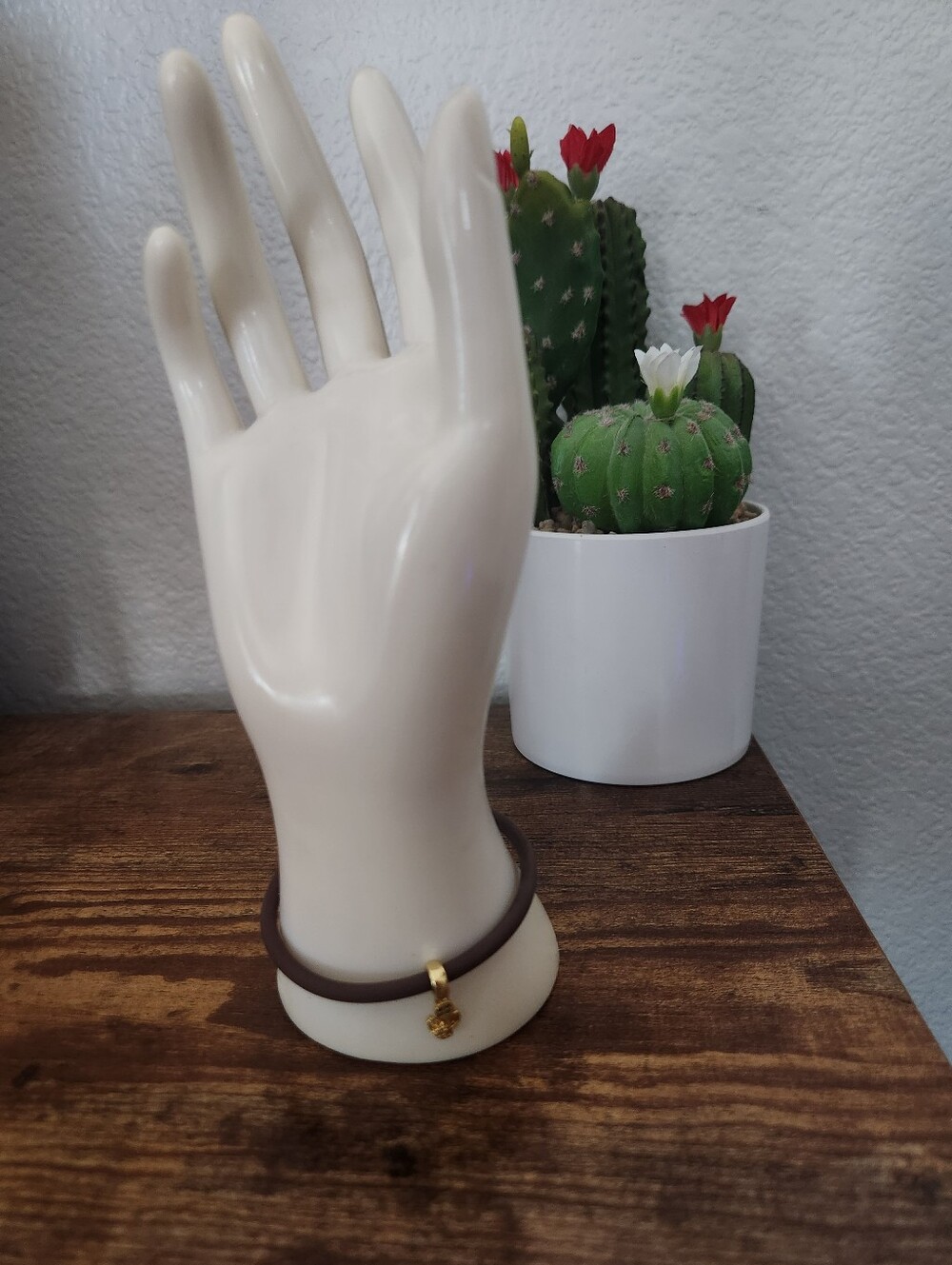 Brown Bracelet with Cactus Chatm
